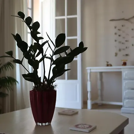 Apartment Helena