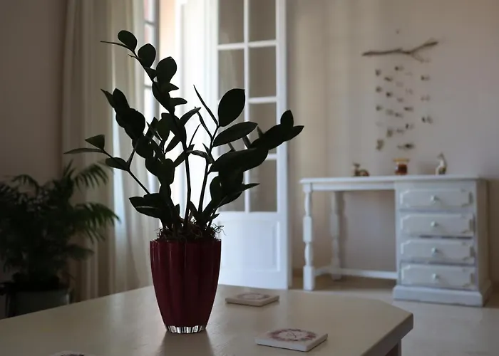 Apartament Helena